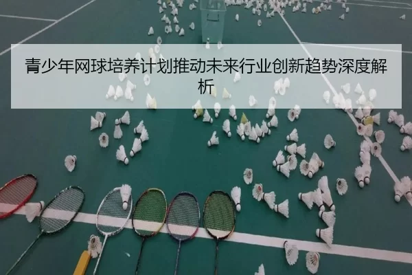 青少年网球培养计划推动未来行业创新趋势深度解析